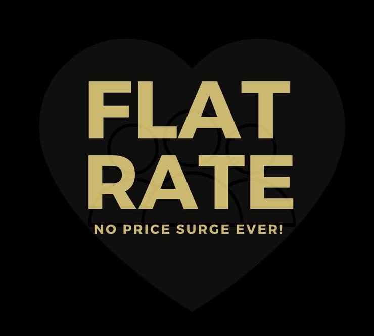 Flat Rate SFO Taxi